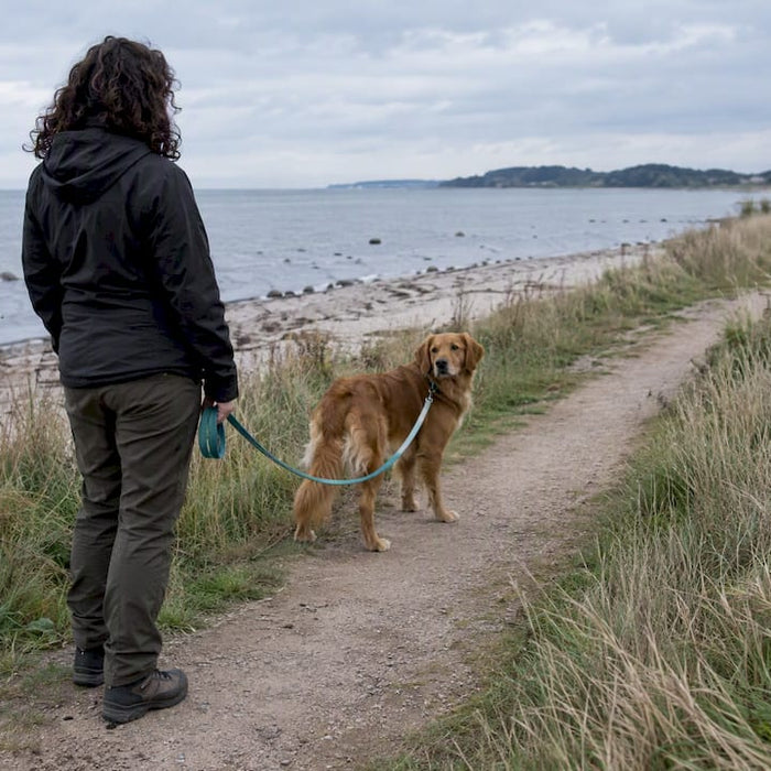 Ejeren kalder på sin hanhund ved kysten