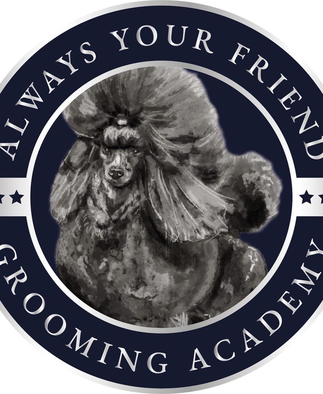 Always Your Friend