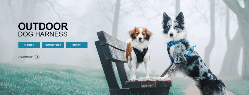 Truelove Hundeseler