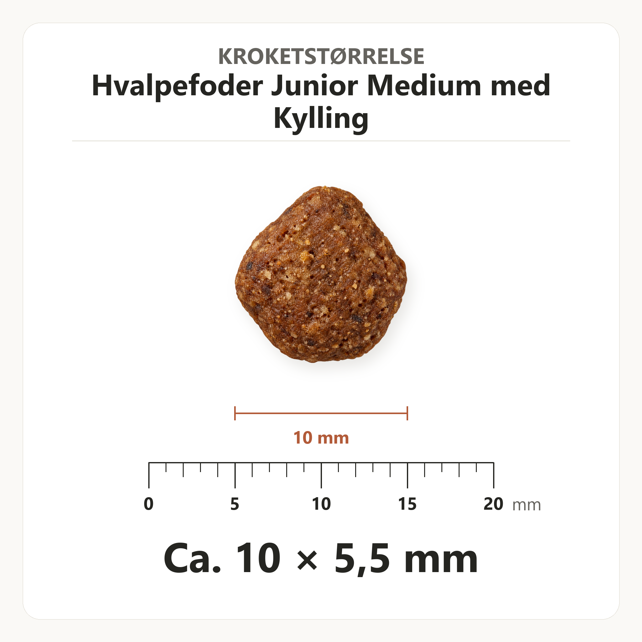 Kroketstørrelse for Dr. Clauder's Hvalpefoder Junior Medium med Kylling: ca. 10 × 5,5 mm vist ved en mm-lineal.
