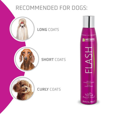 ARTERO FLASH SHINE/CONDITIONING 300ML