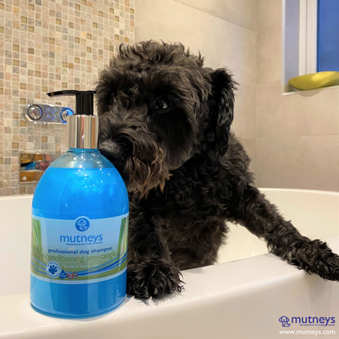 Mutneys Detangler Hundeshampoo | Reducerer sammenfiltringer og pelsknuder