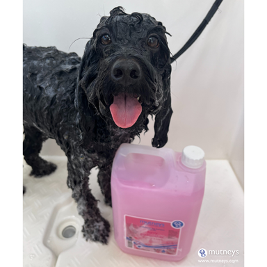 Mutneys Furry Godmother Hundeshampoo - Velegnet til alle racer og pelstyper