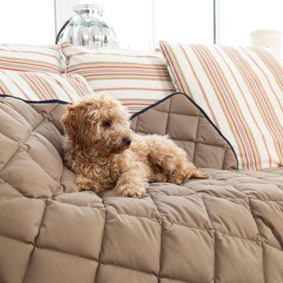 DOCTOR BARK Hundetæppe Hypoallergenic | Gyldenbrun