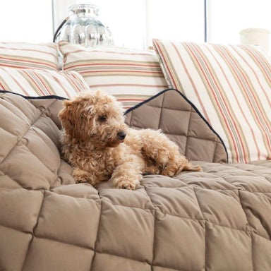 DOCTOR BARK Hundetæppe Hypoallergenic | Gyldenbrun